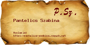 Pantelics Szabina névjegykártya